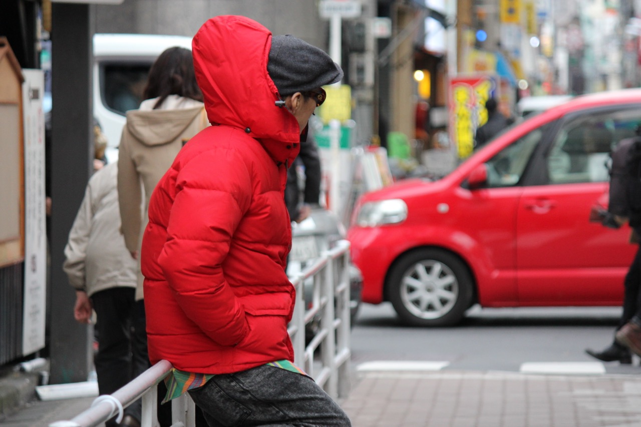 the north face down parka style